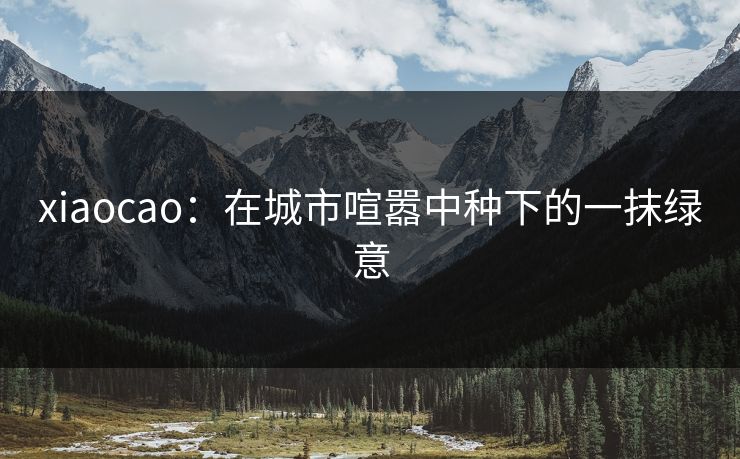 xiaocao:在城市喧嚣中种下的一抹绿意 xiaocao:在城市喧嚣中种下的一抹绿意