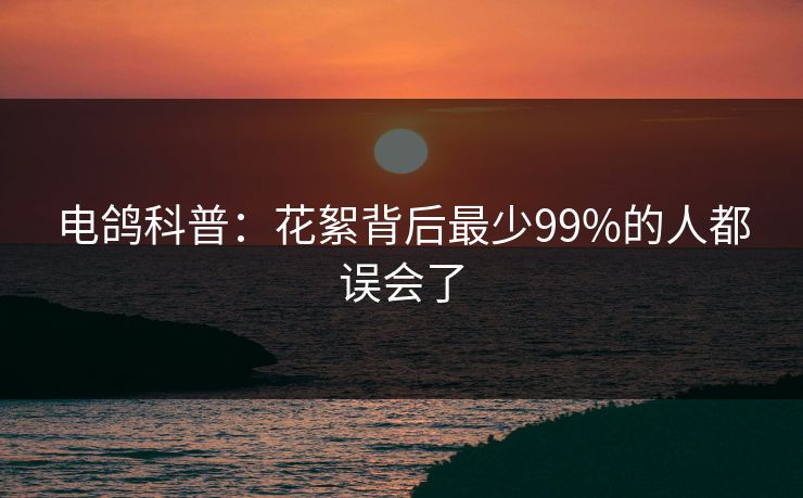电鸽科普:花絮背后最少99%的人都误会了 电鸽科普:花絮背后最少99%的人都误会了